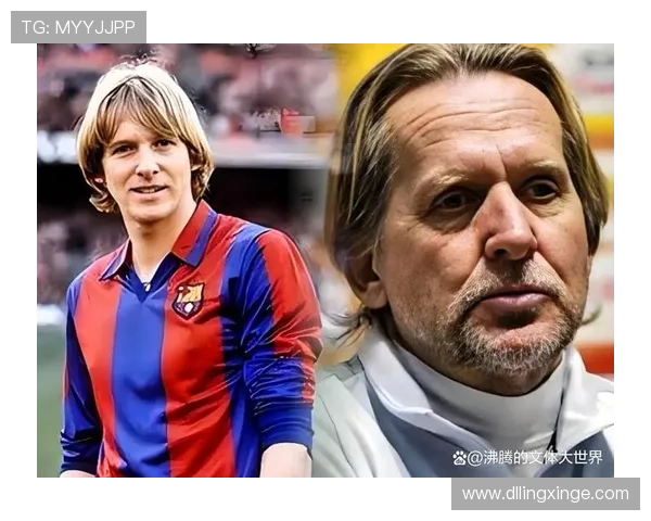 全球足球明星排名前九的传奇故事与成就解析