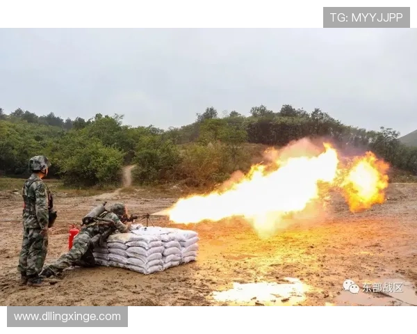 北京排球队反击战术分析与失误反思的全面评估