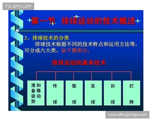 西安排球队在奥运会中的节奏掌控与战术执行深度分析